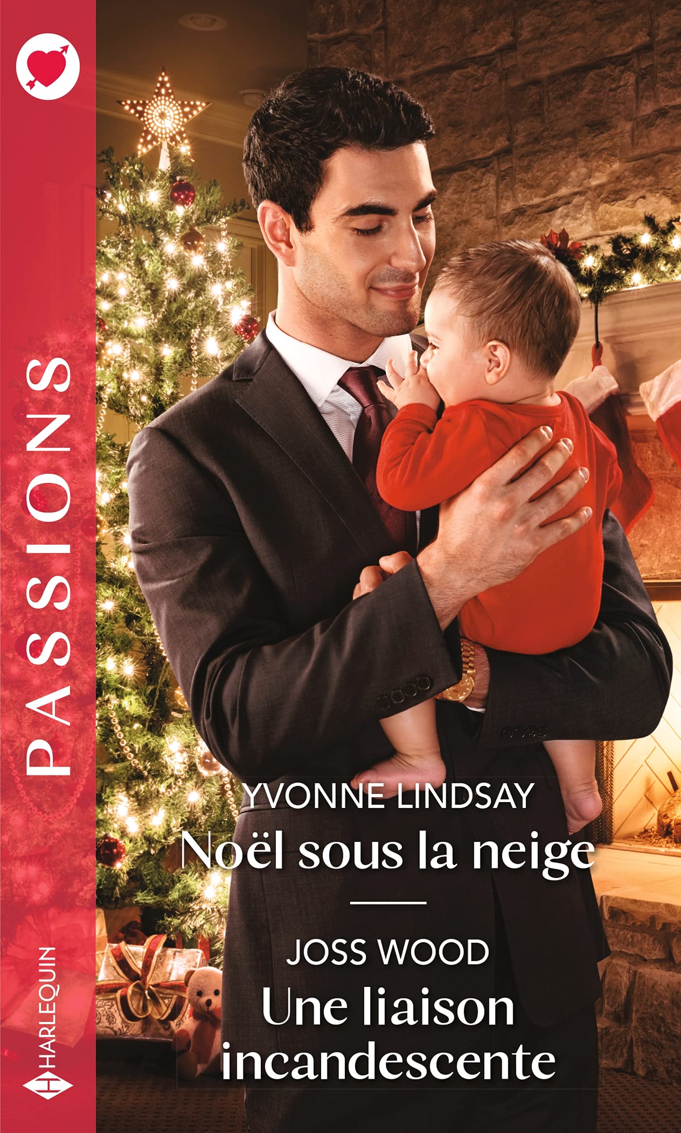 Noël sous la neige - Une liaison incandescente Contemporary literature