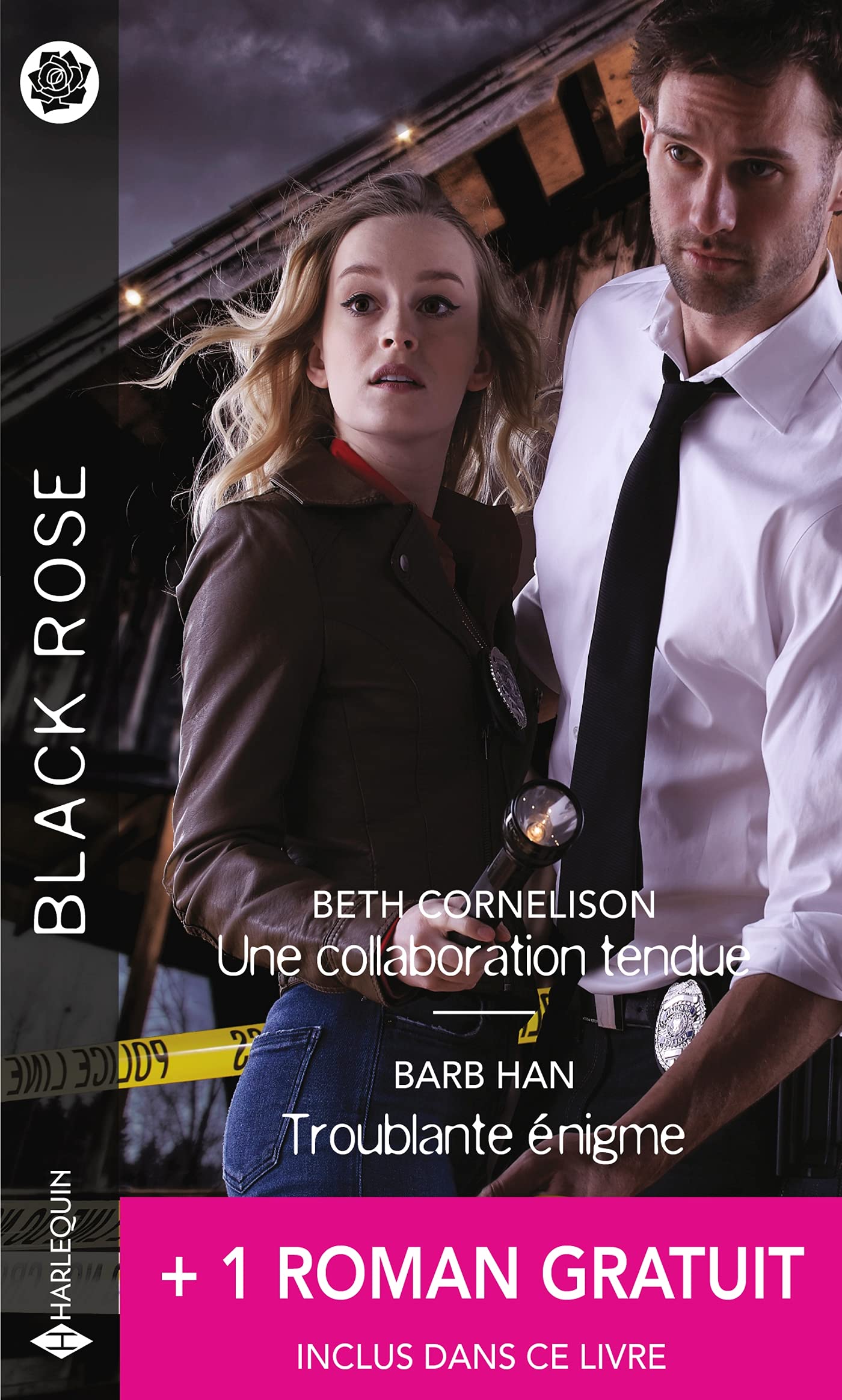 Une collaboration tendue - Troublante énigme - Un dangereux partenaire book