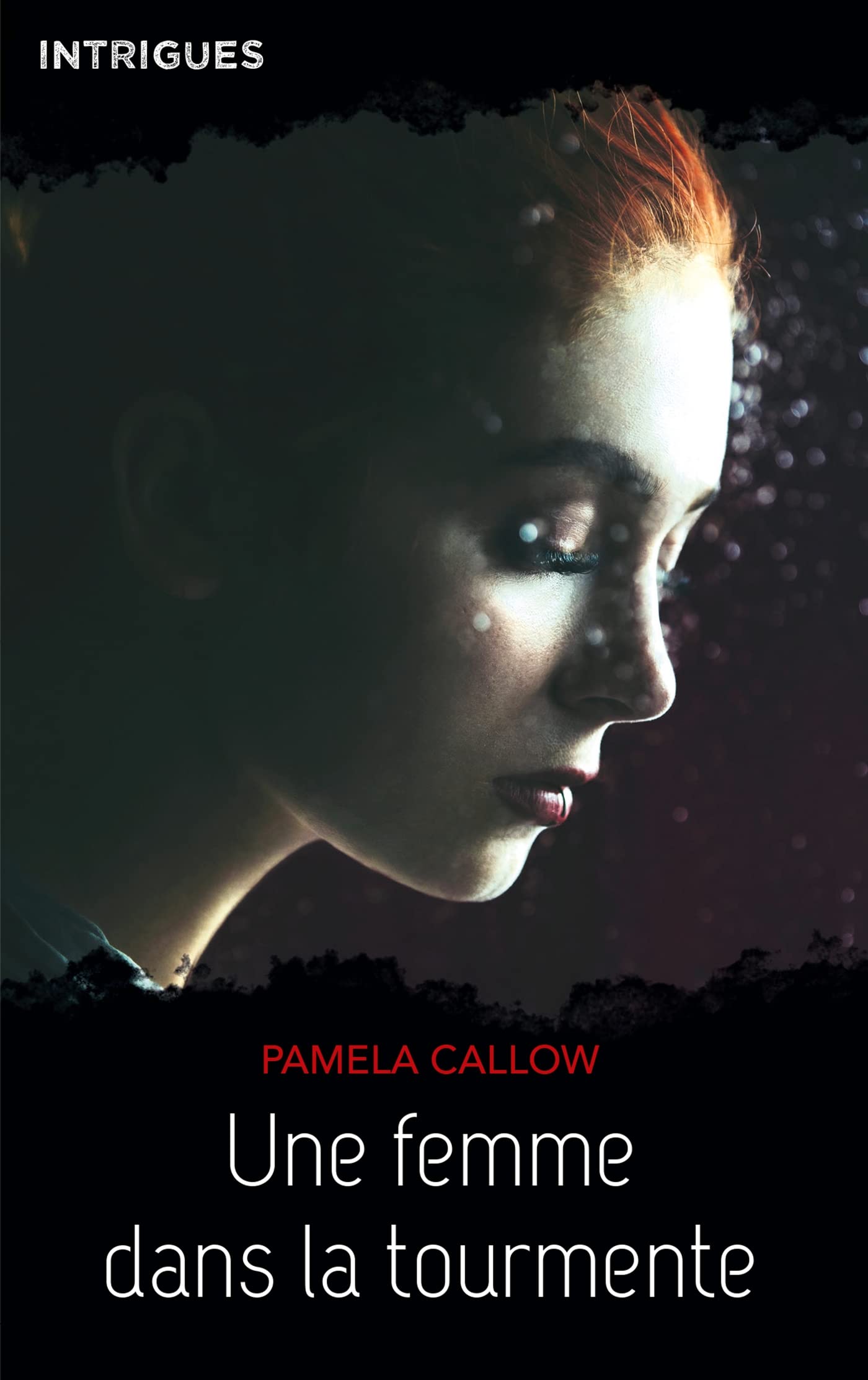 Une femme dans la tourmente Contemporary literature
