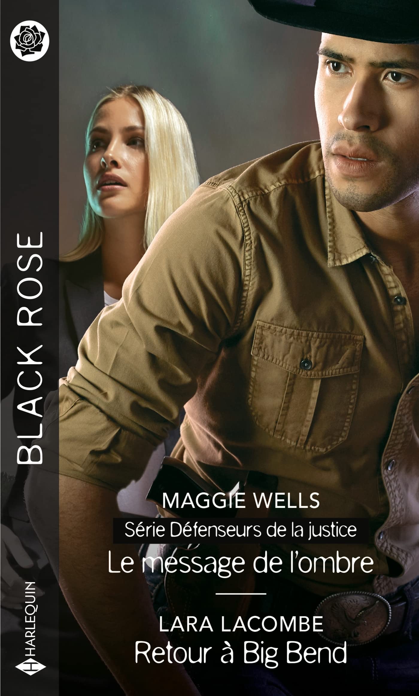 Le message de l'ombre - Retour à Big Bend book