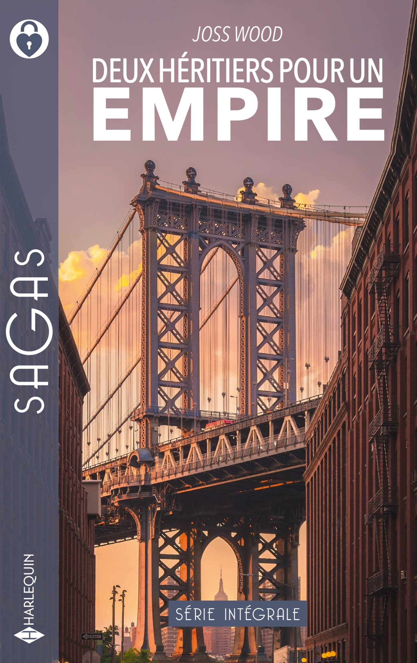Deux héritiers pour un empire: Le secret d'une grossesse - Surprise à New York book