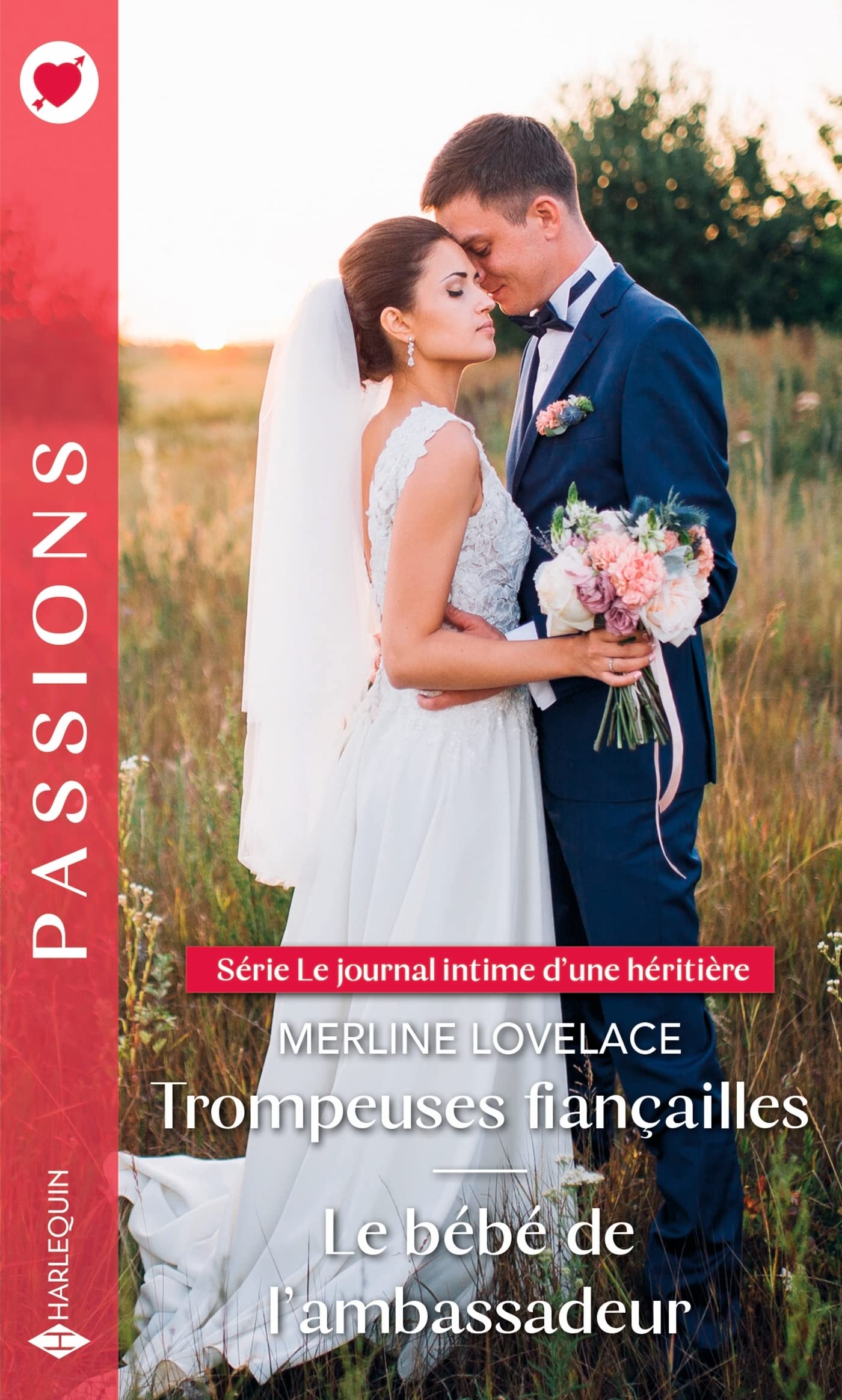 Trompeuses fiançailles - Le bébé de l'ambassadeur book