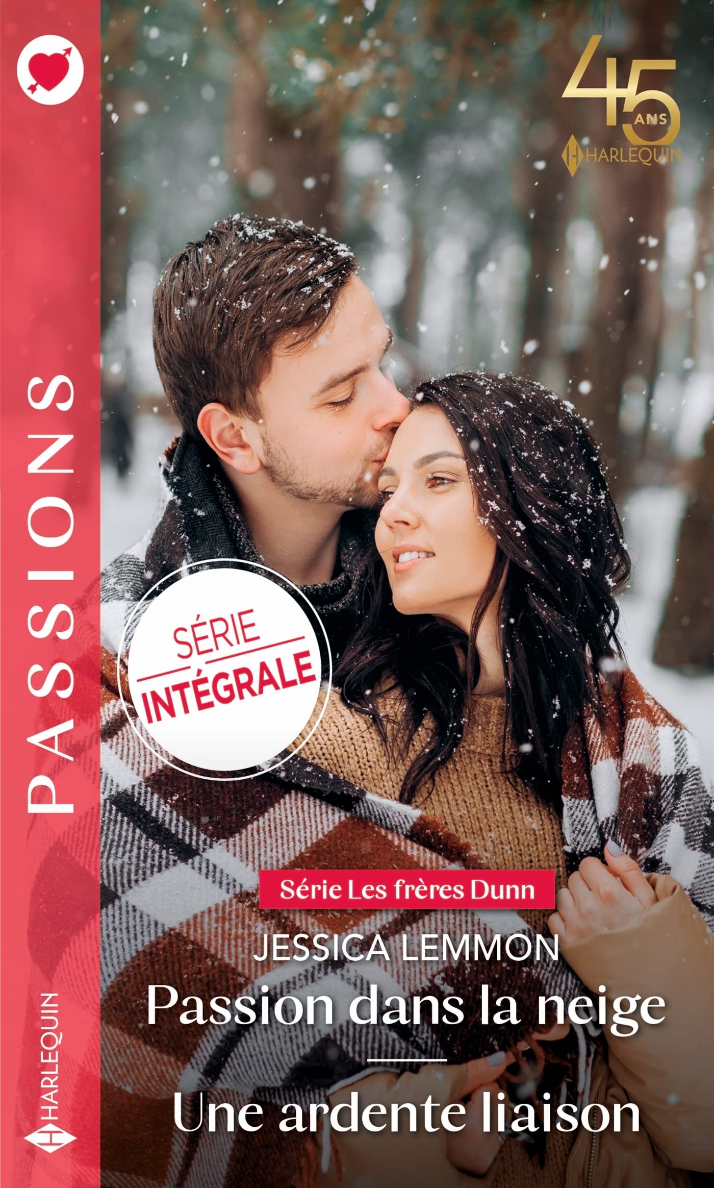 Passion dans la neige - Une ardente liaison book