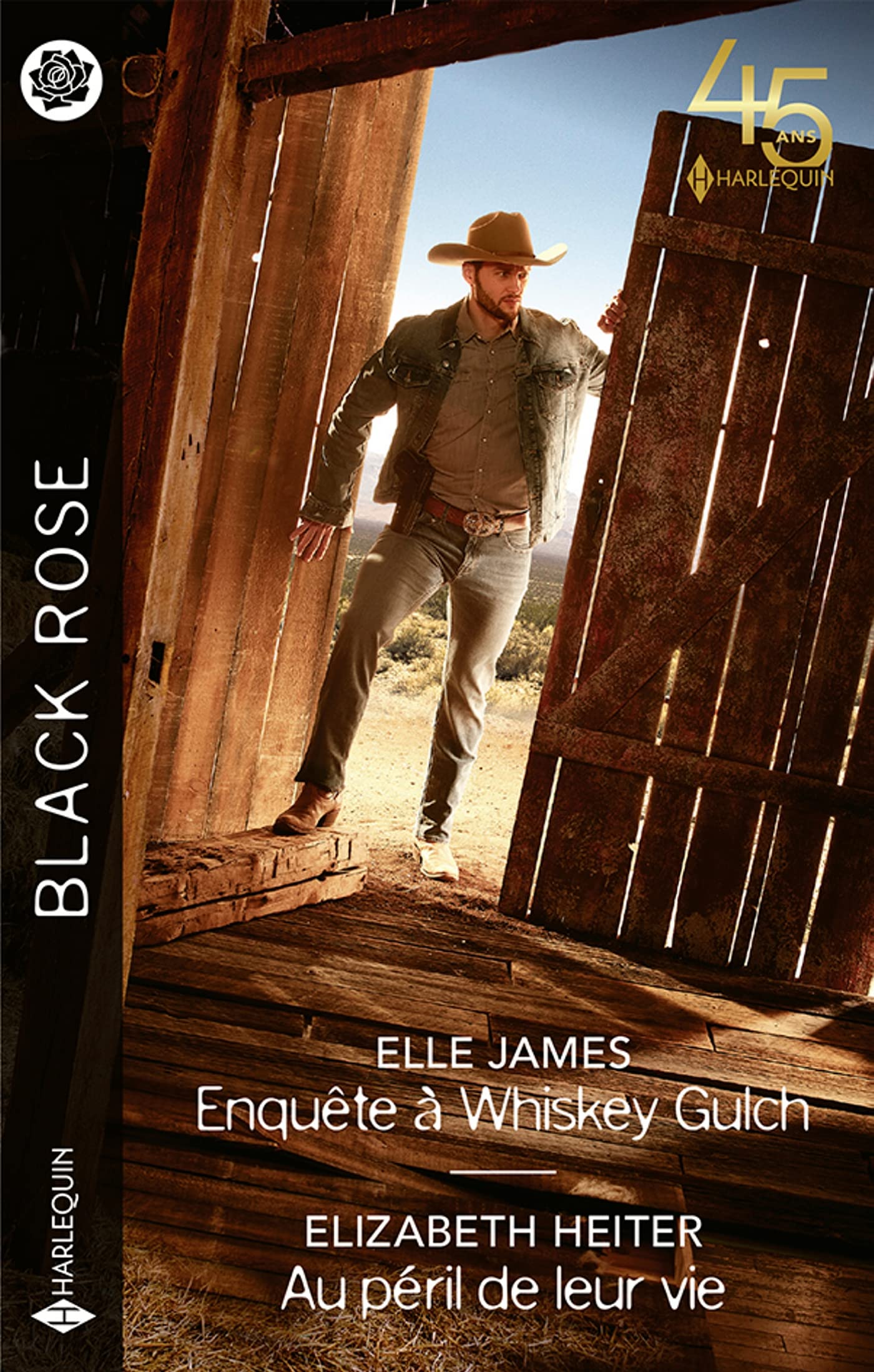 Enquête à Whiskey Gulch - Au péril de leur vie book