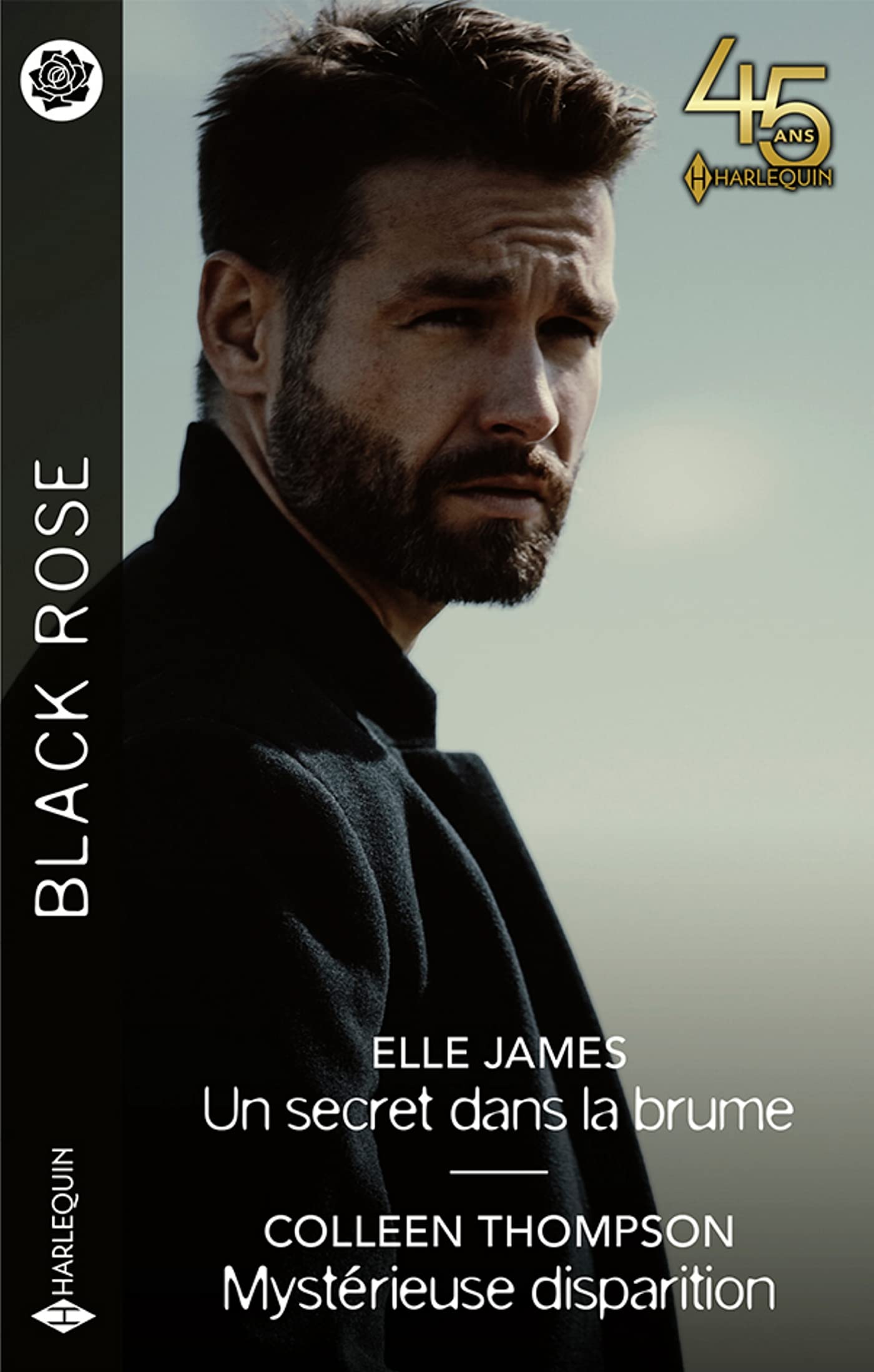 Un secret dans la brume - Mystérieuse disparition book