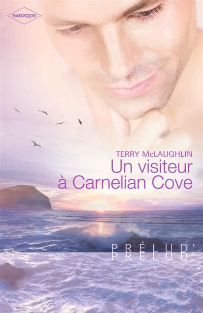 Product Image: Un visiteur à Carnelian Cove