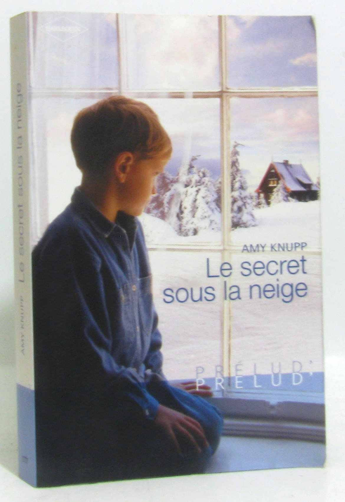 Le secret sous la neige book