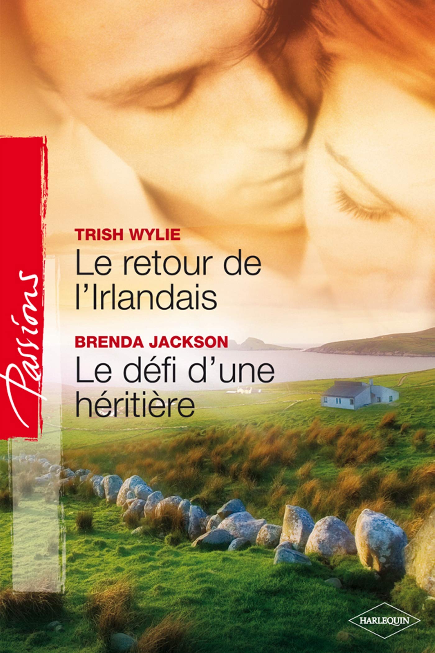 Le retour de l'Irlandais ; Le défi d'une héritière book