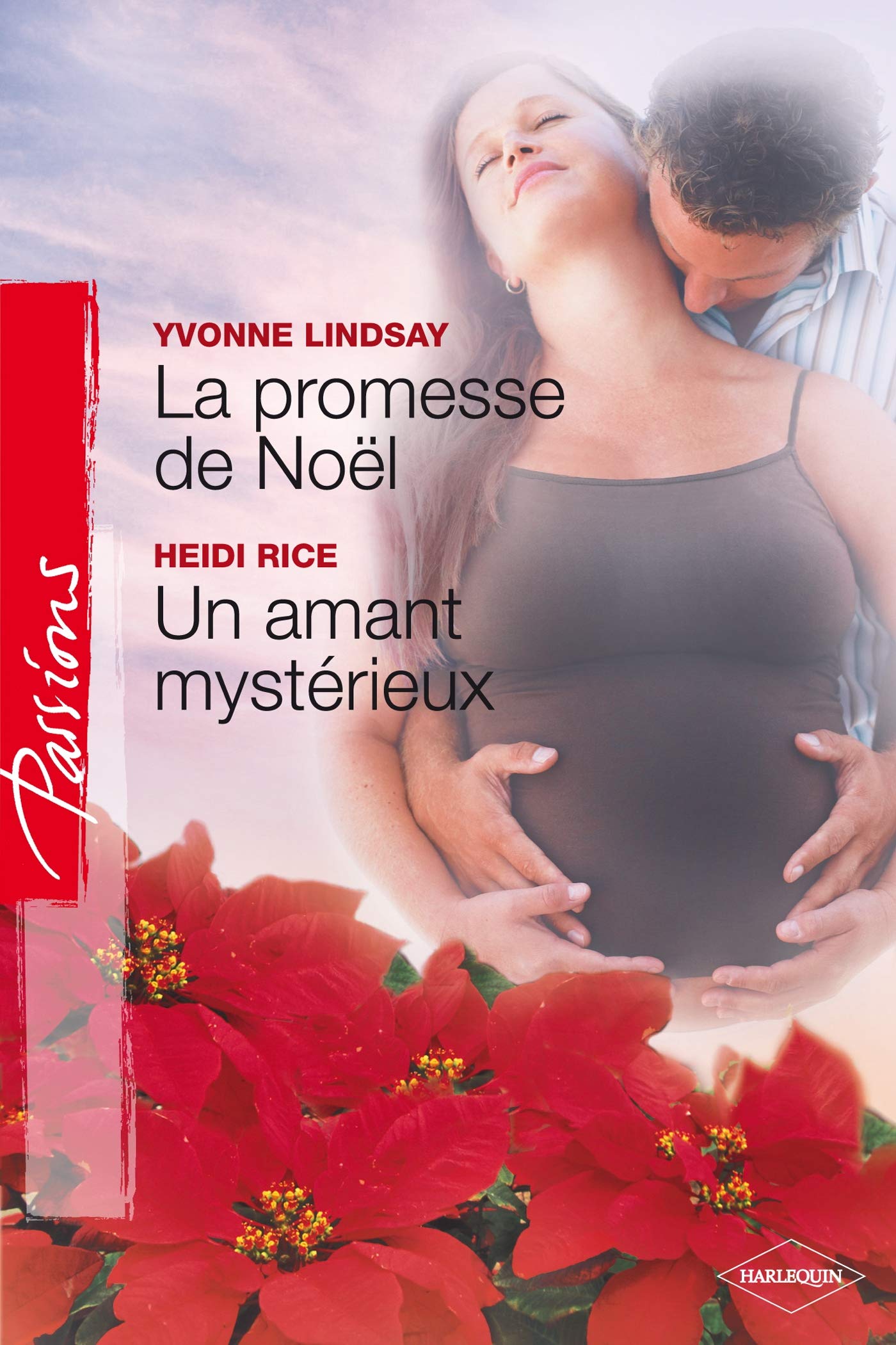 La promesse de Noël ; Un amant mystérieux book