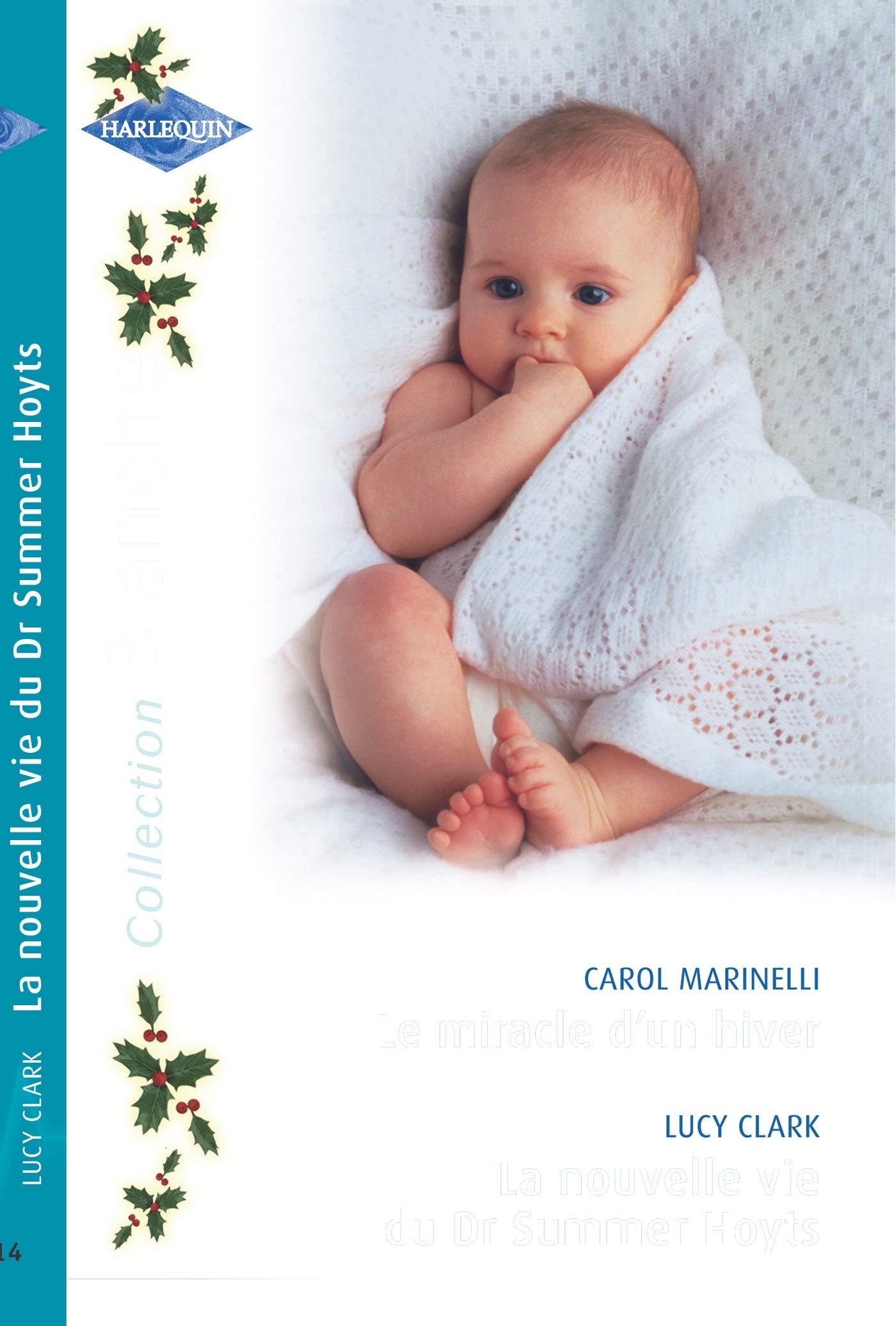 Le miracle d'un hiver ; La nouvelle vie du Dr Summer Hoyts book