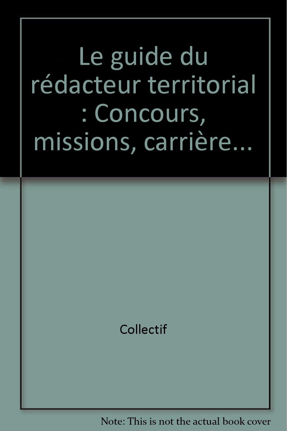Le guide du rédacteur territorial: Concours, missions, carrière... book