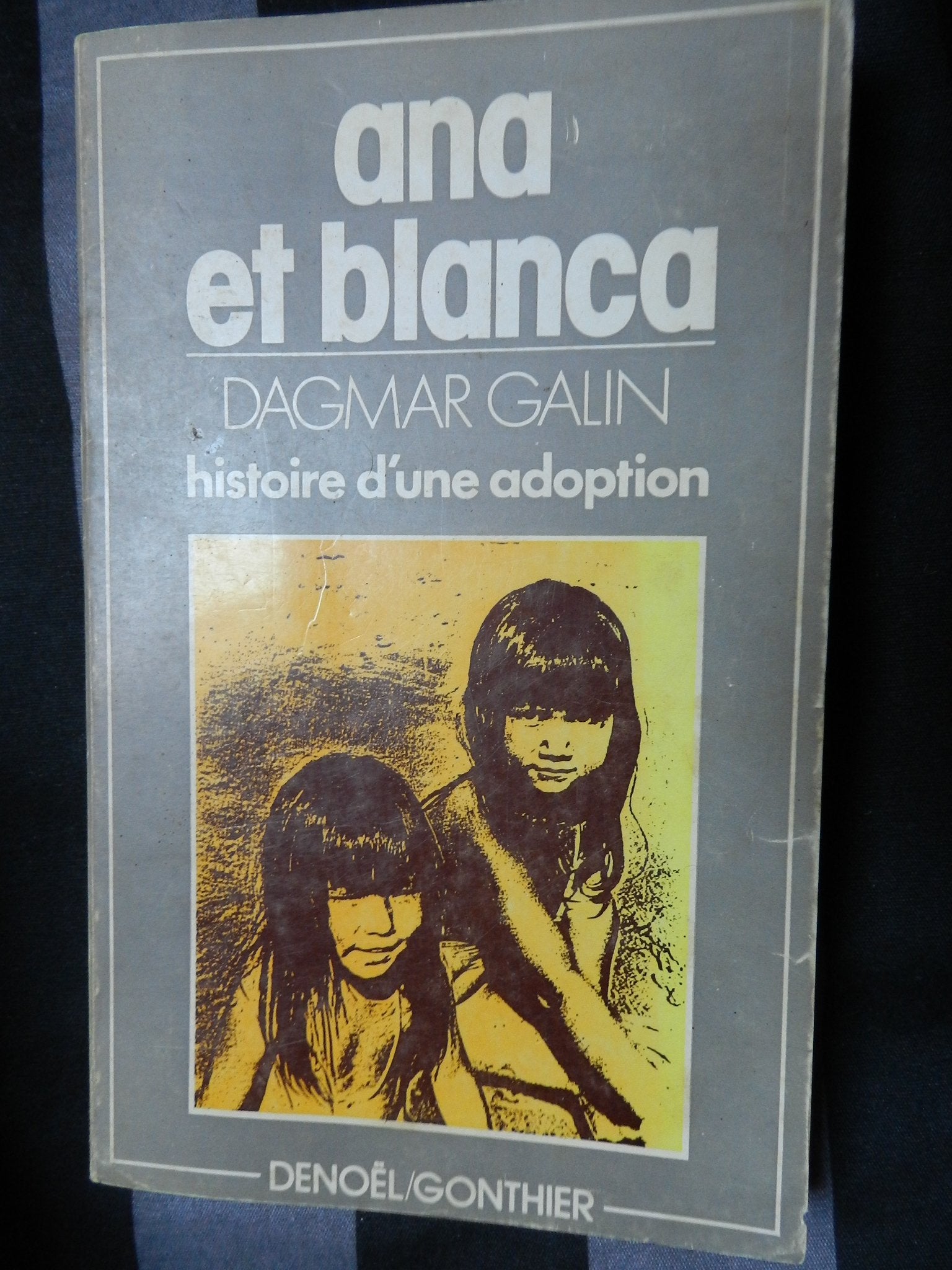 Ana et Blanca : histoire d'une adoption book