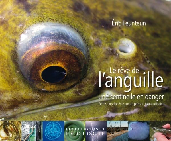 Le rêve de l'anguille: Une sentinelle en danger Natural Sciences