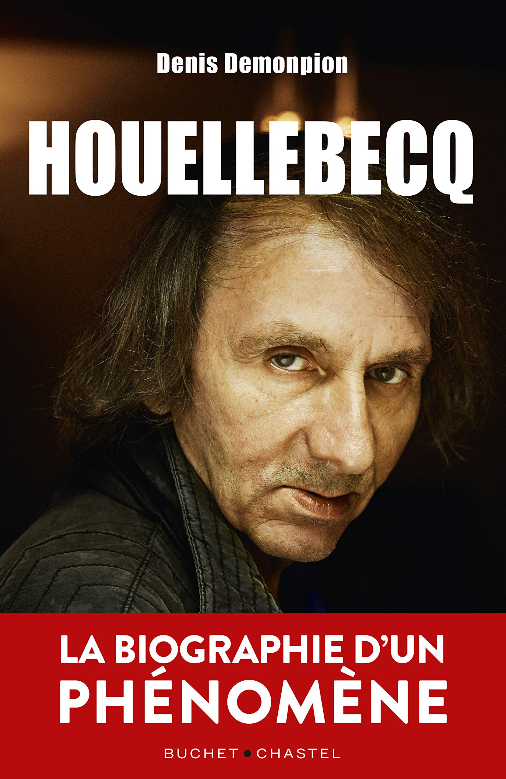 Houellebecq: LA BIOGRAPHIE D'UN PHÉNOMÈNE Books