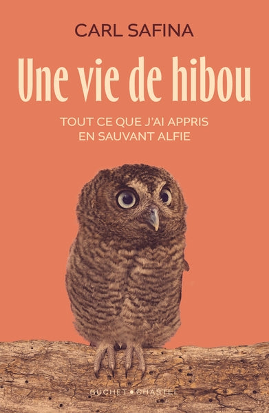 Une vie de hibou : tout ce que j'ai appris en sauvant Alfie Essays & Short Stories
