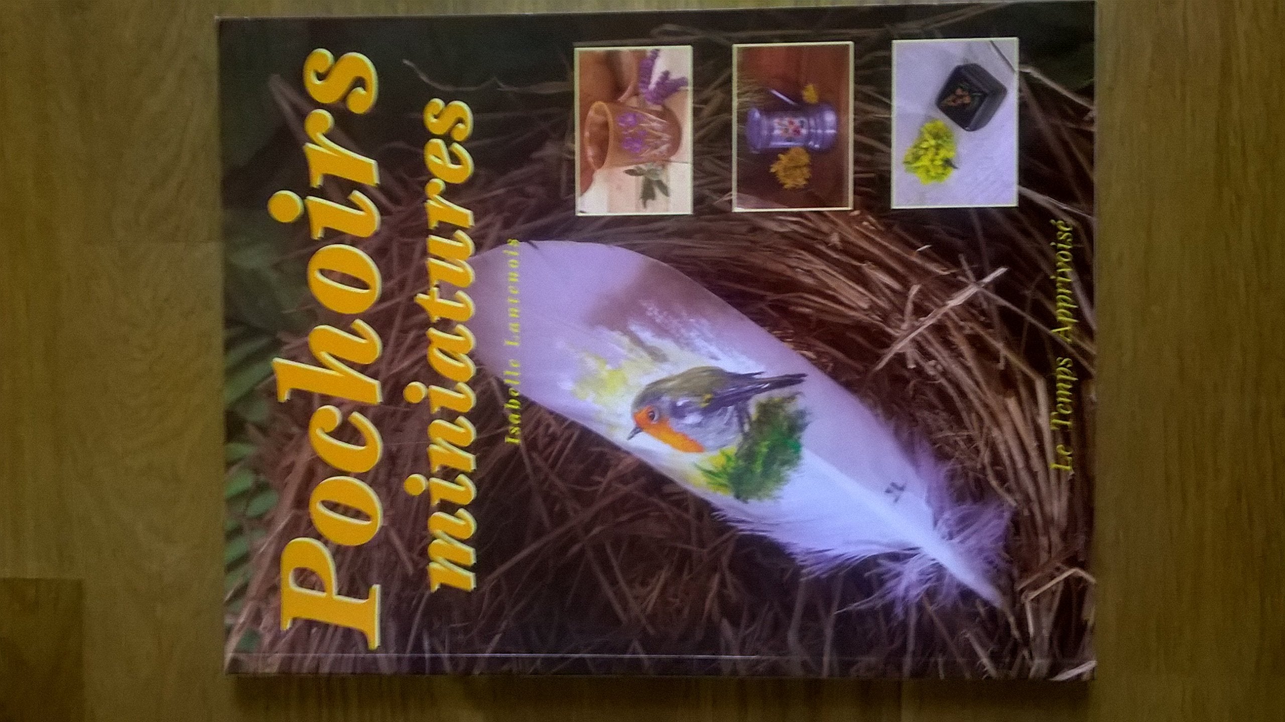 Pochoirs miniatures book