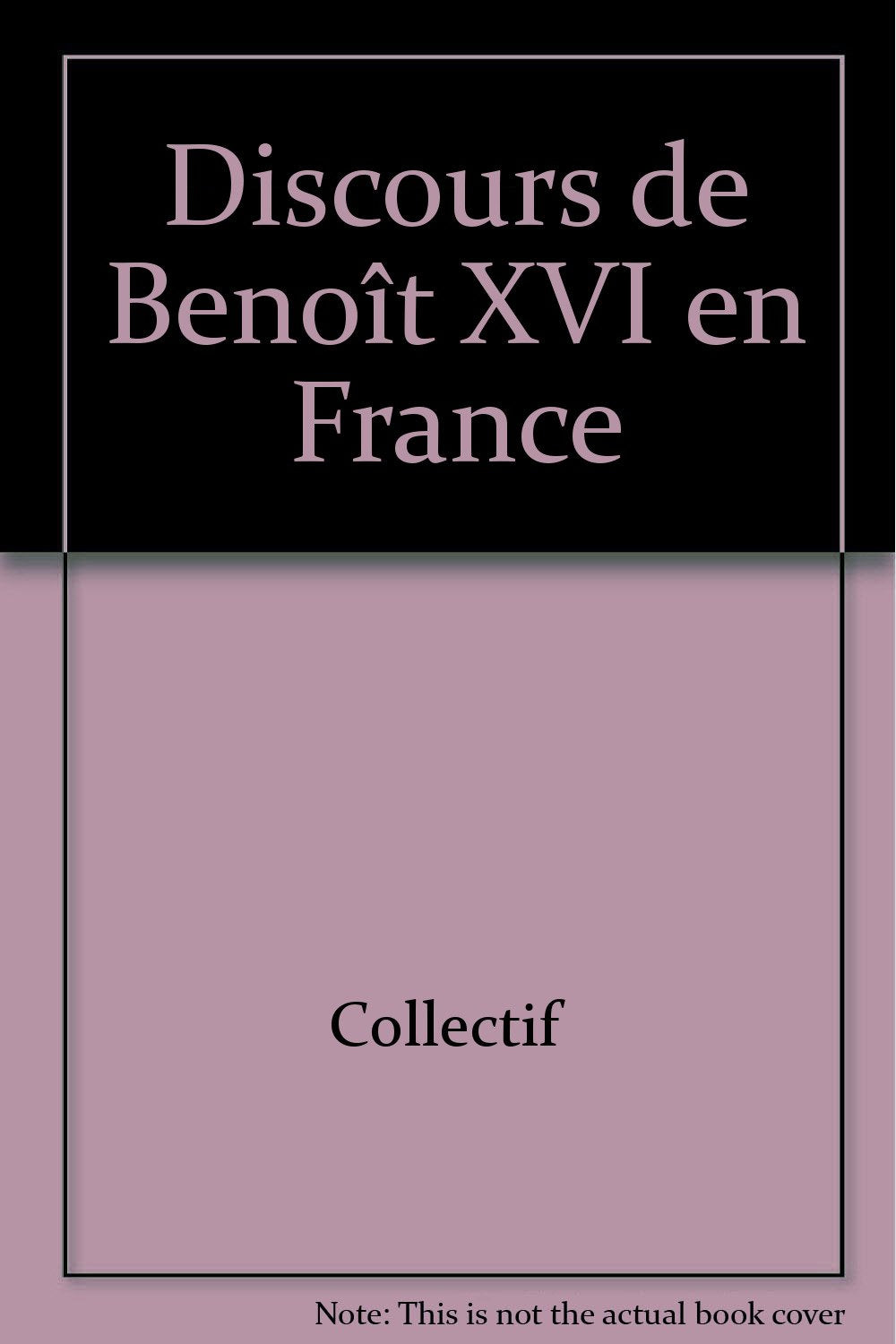 Discours de Benoît XVI en France book