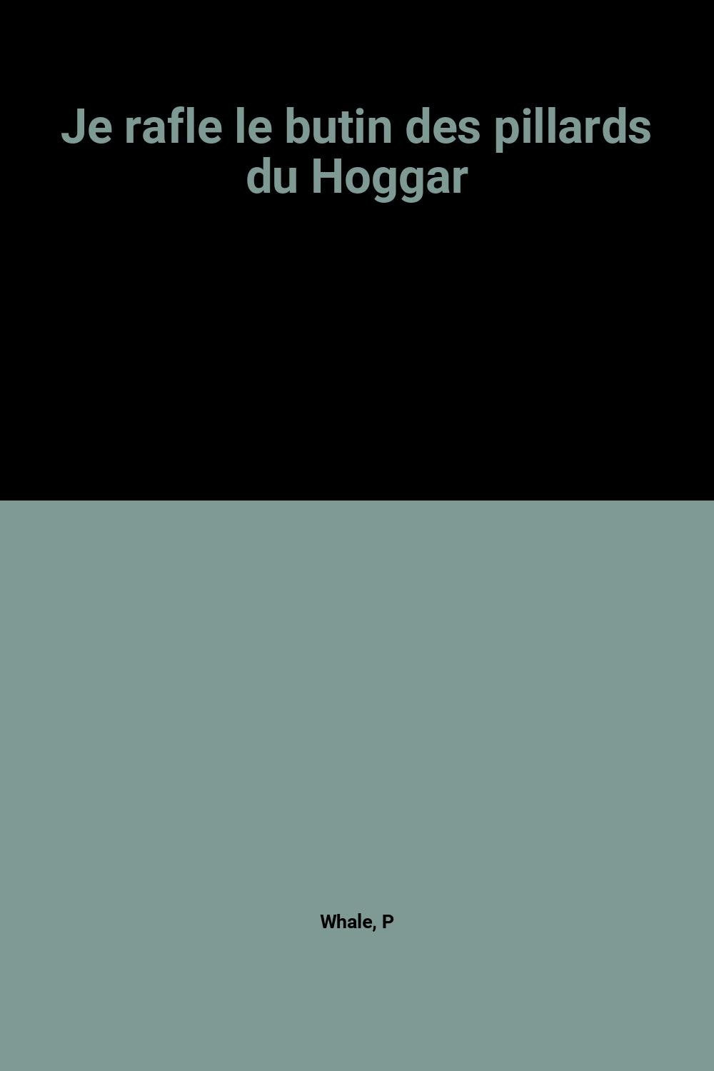 Je rafle le butin des pillards du Hoggar book