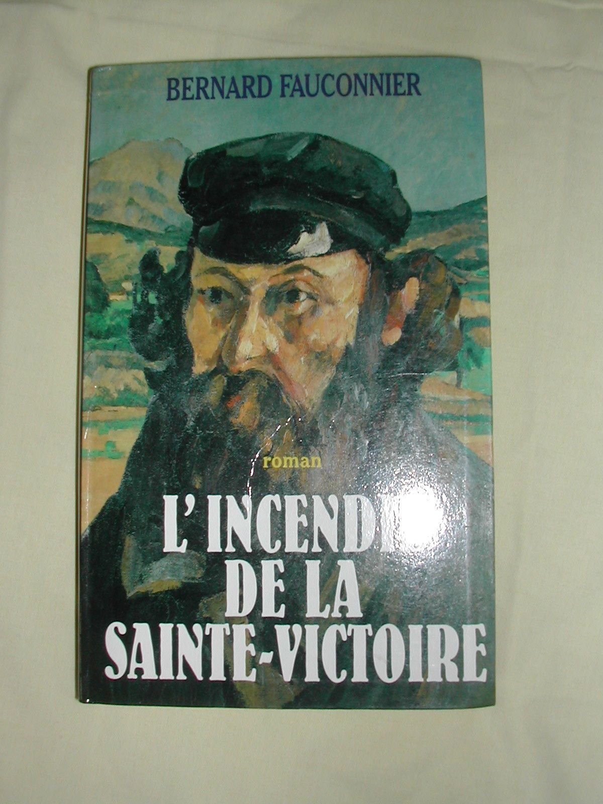 L'INCENDIE DE LA SAINTE-VICTOIRE. book