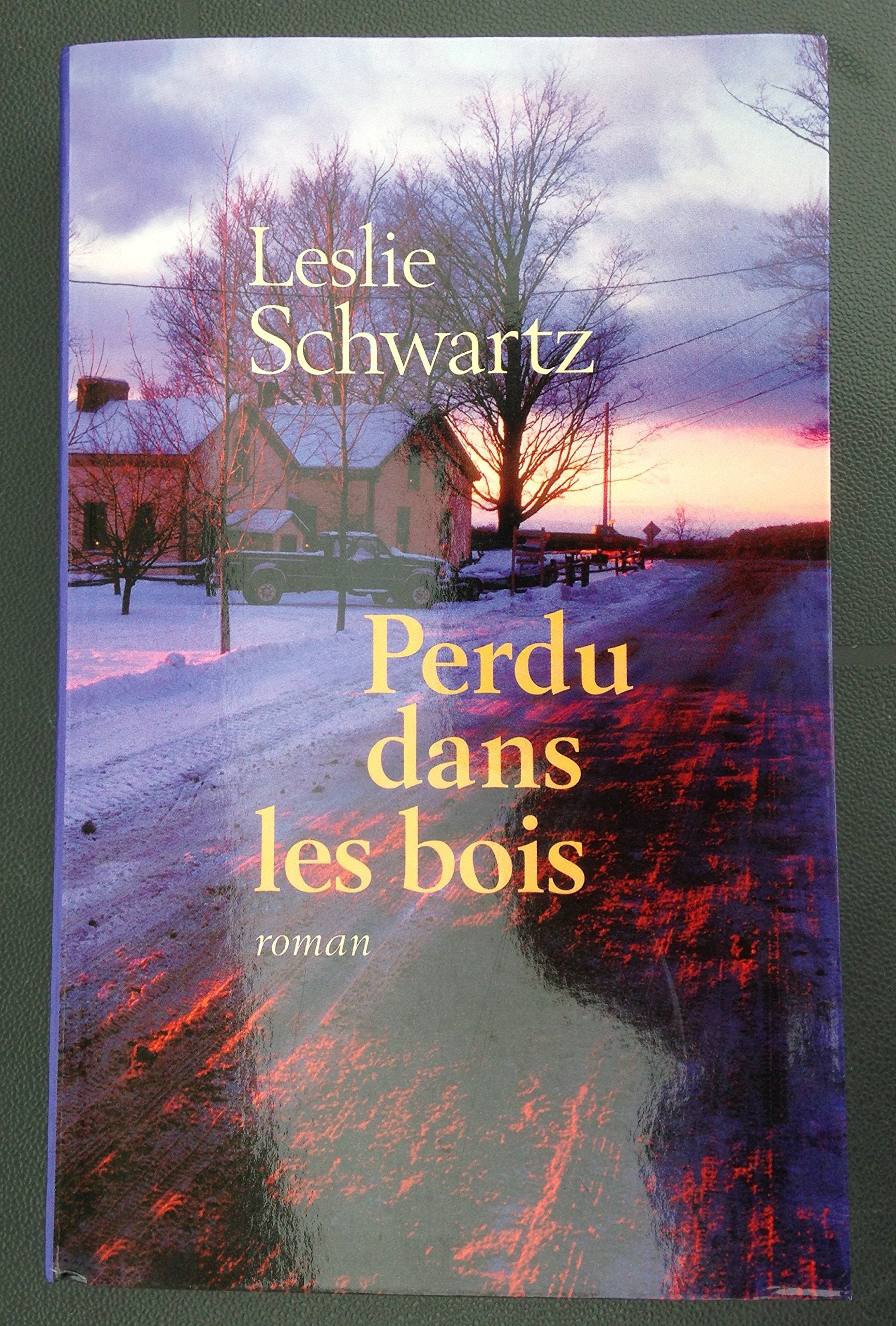 Perdu dans le bois. Roman traduit de l'américain. book