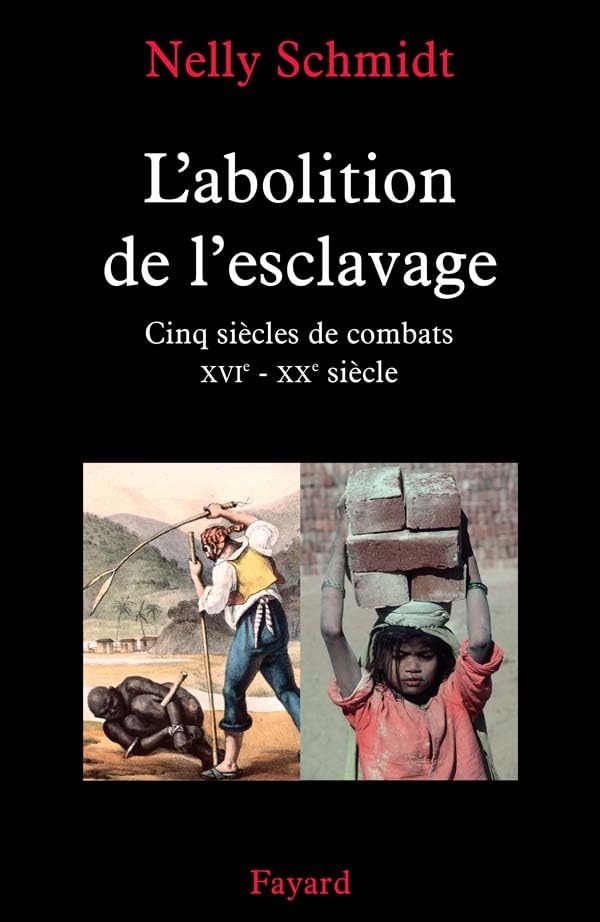 L'abolition de l'esclavage: Cinq siècles de combats (XVIe-XXe siècle) Politics & History