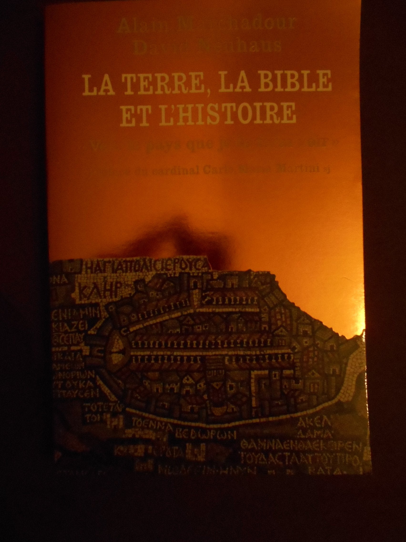 La terre, la Bible et l'histoire book