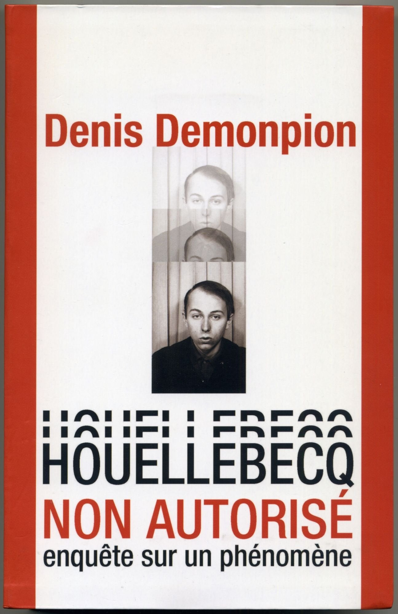 Houellebecq non autorisé : Enquête sur un phénomène Books