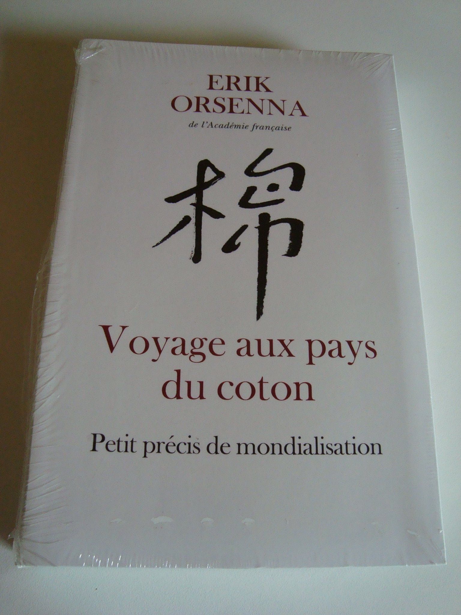 Voyage aux pays du coton : Petit précis de mondialisation Books