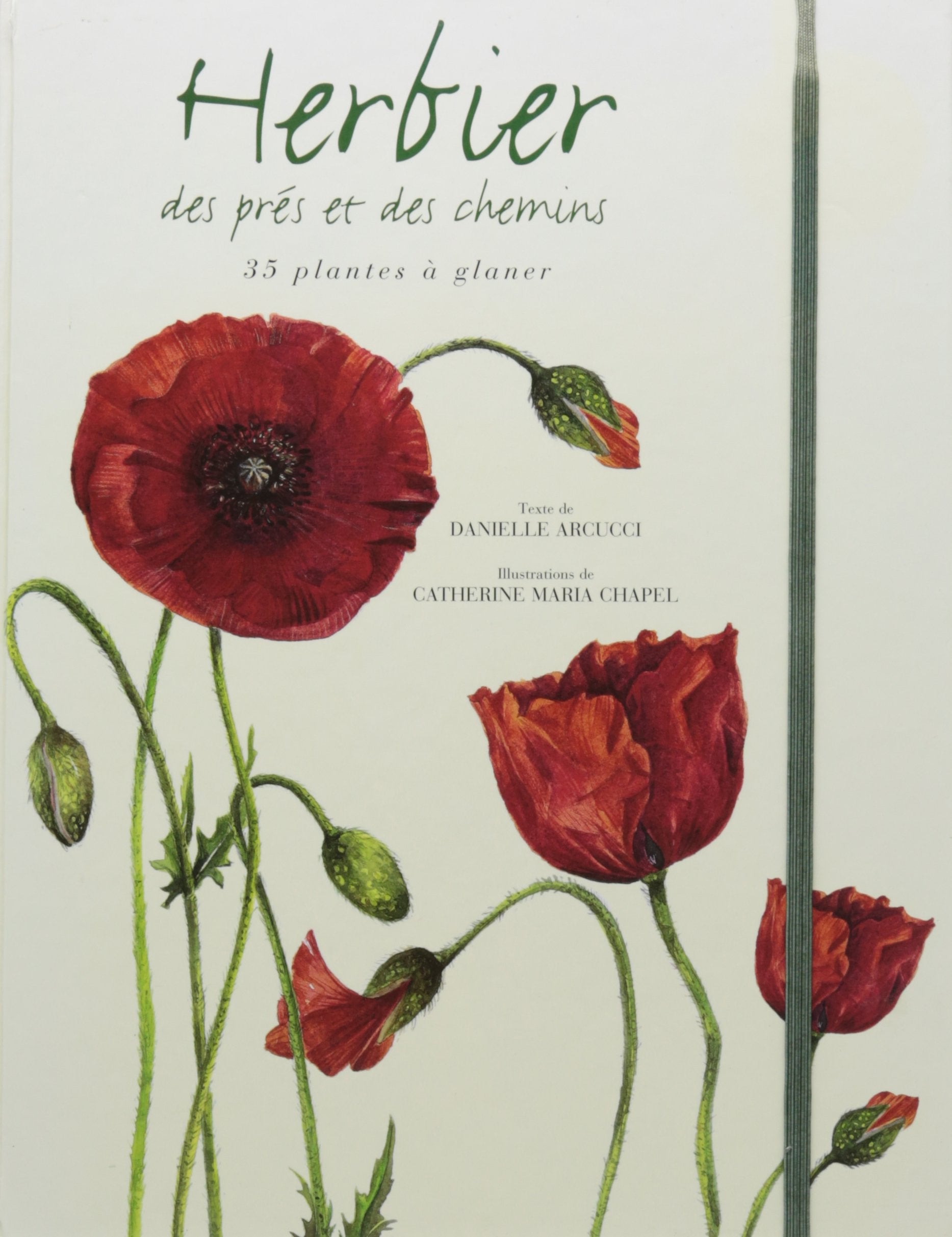 Herbier des prés et des chemins : 35 plantes à glaner Books