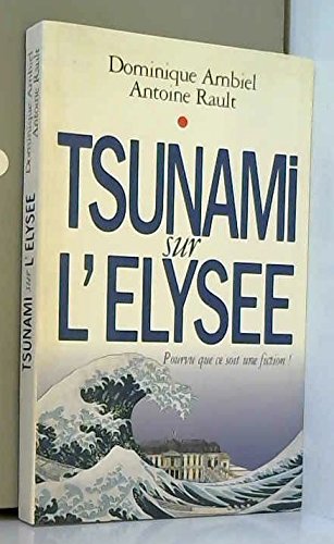 Tsunami sur l'Elysée book