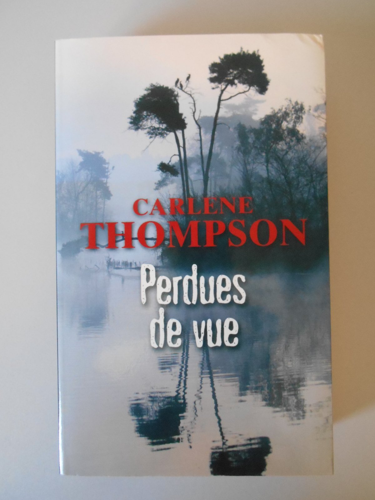 Perdues de vue Books