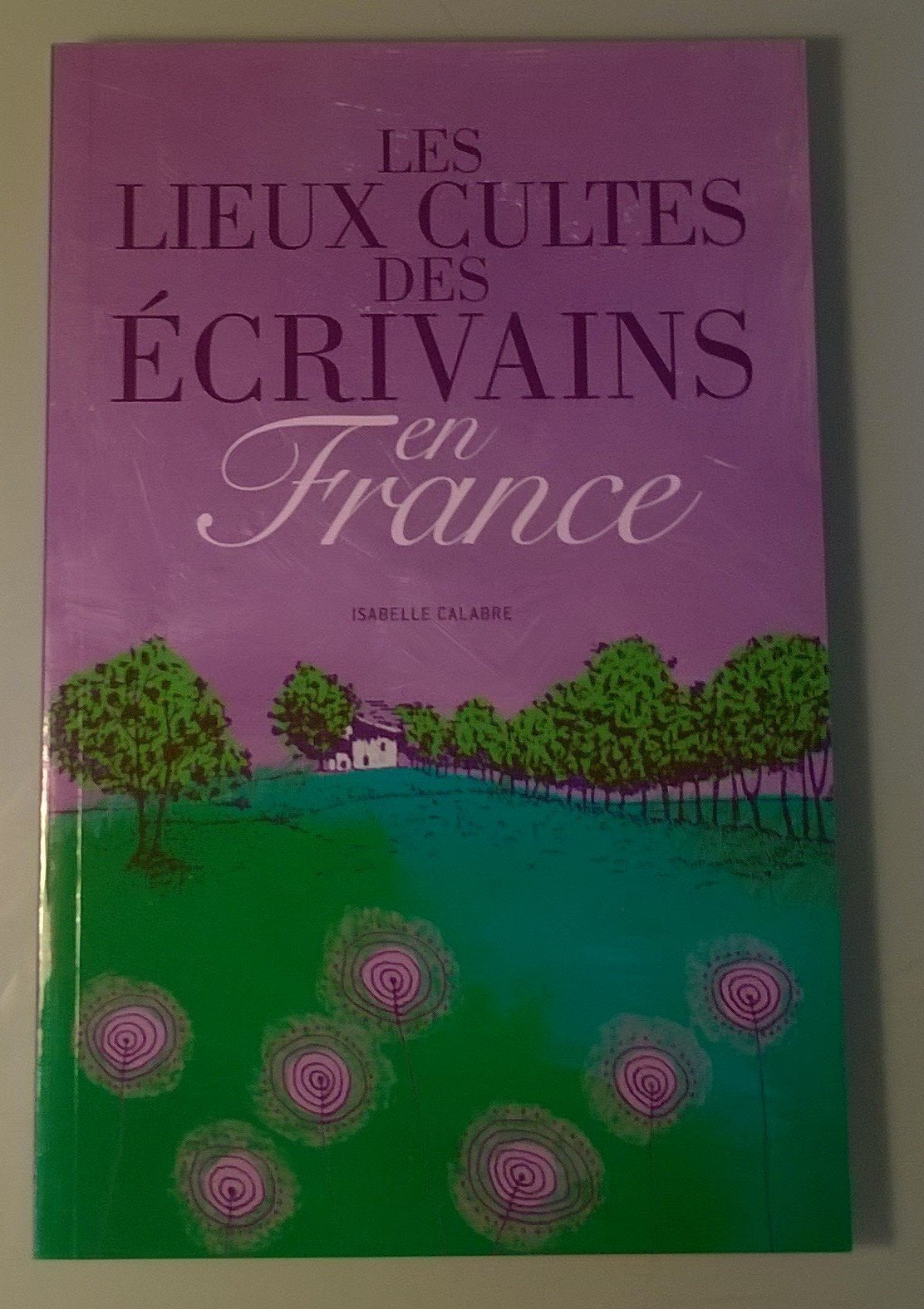 Les lieux cultes des ecrivains en france Books