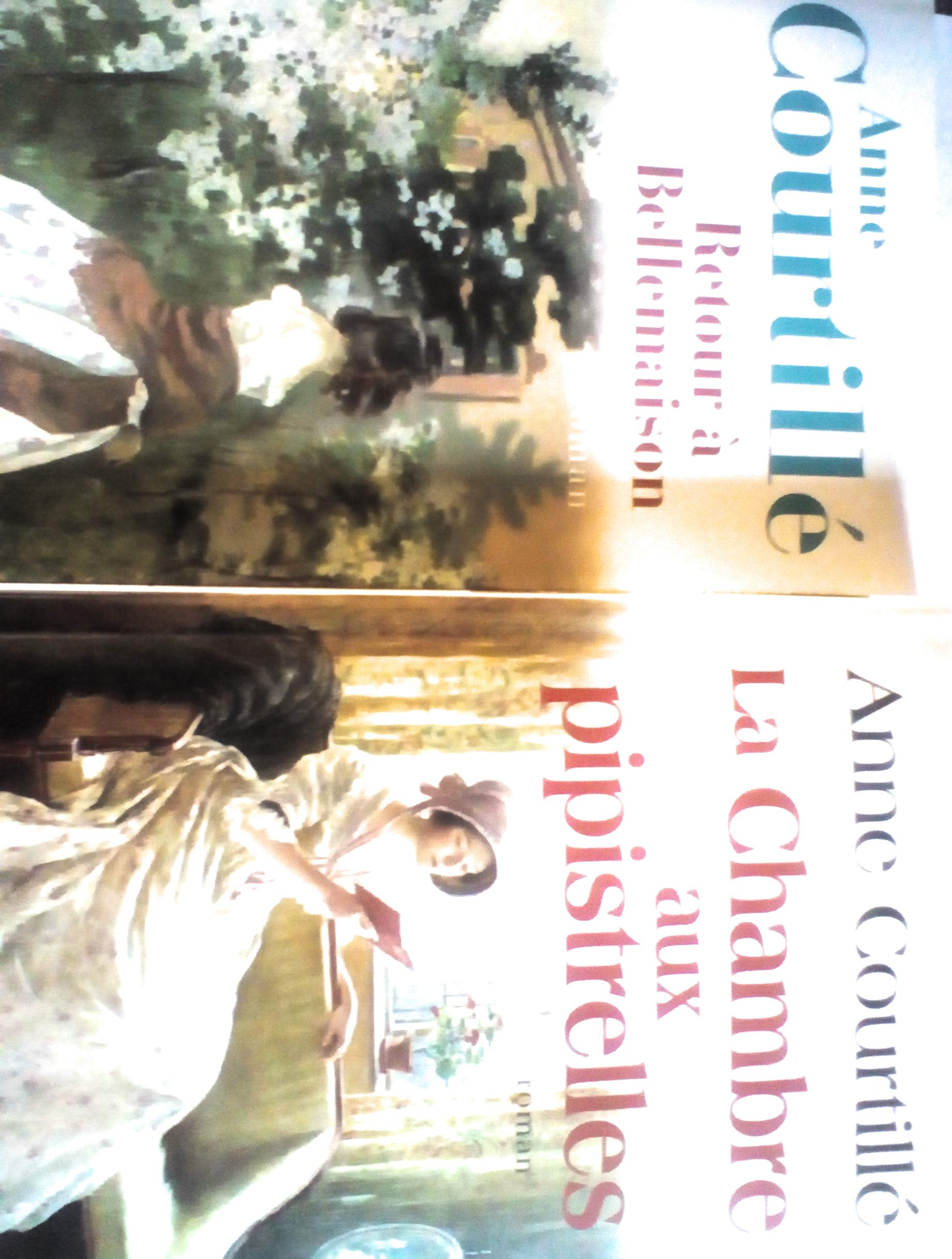 LA CHAMBRE AUX PIPISTRELLE book