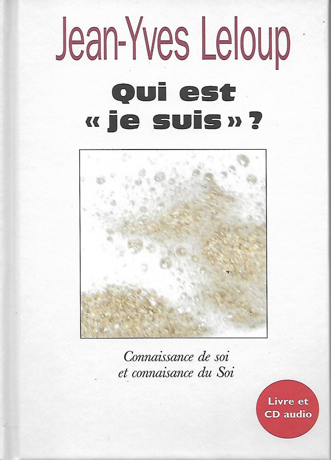 Qui est "je suis" Books