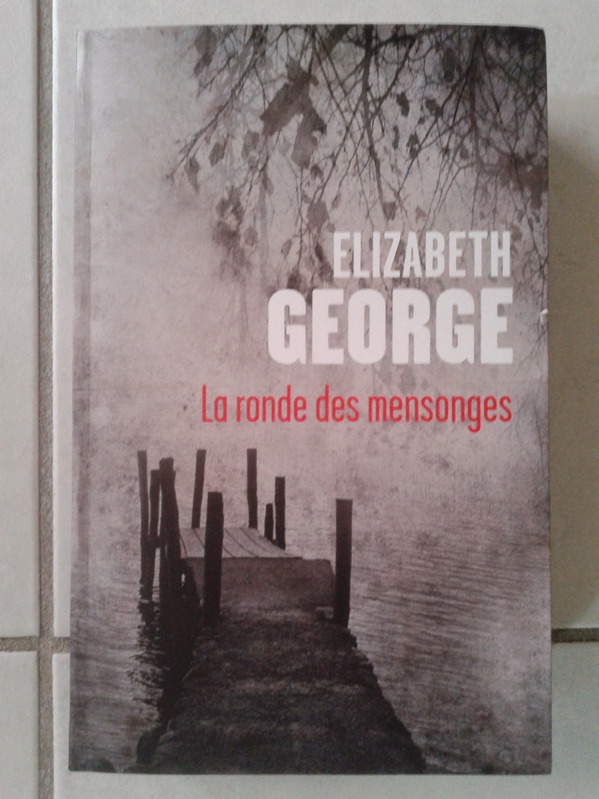 La ronde des mensonges book