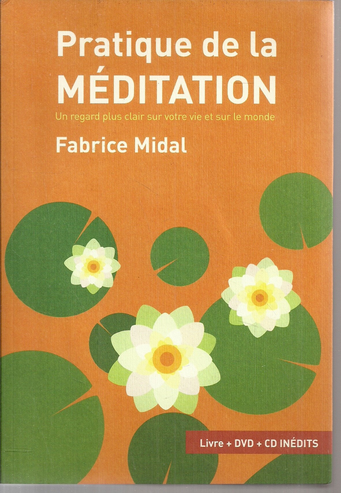 Pratique de la Méditation-Un regard plus clair sur votre vie et sur le monde book