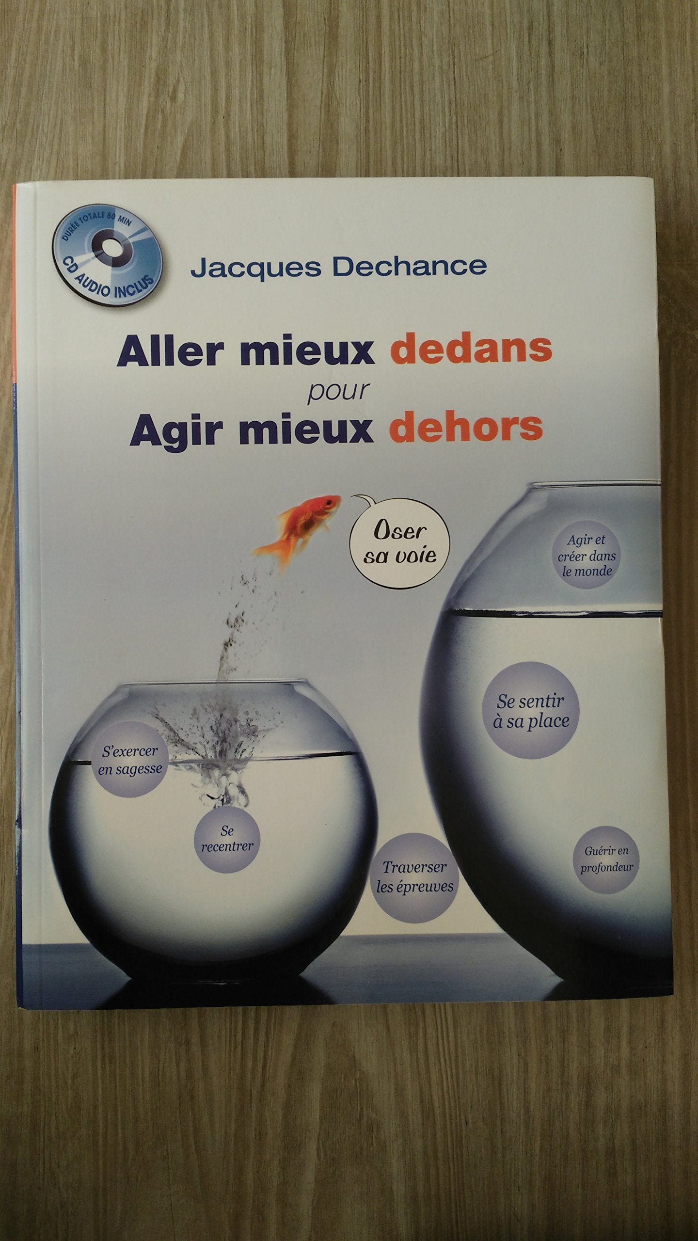 ALLER MIEUX DEDANS POUR AGIR MIEUX DEHORS book