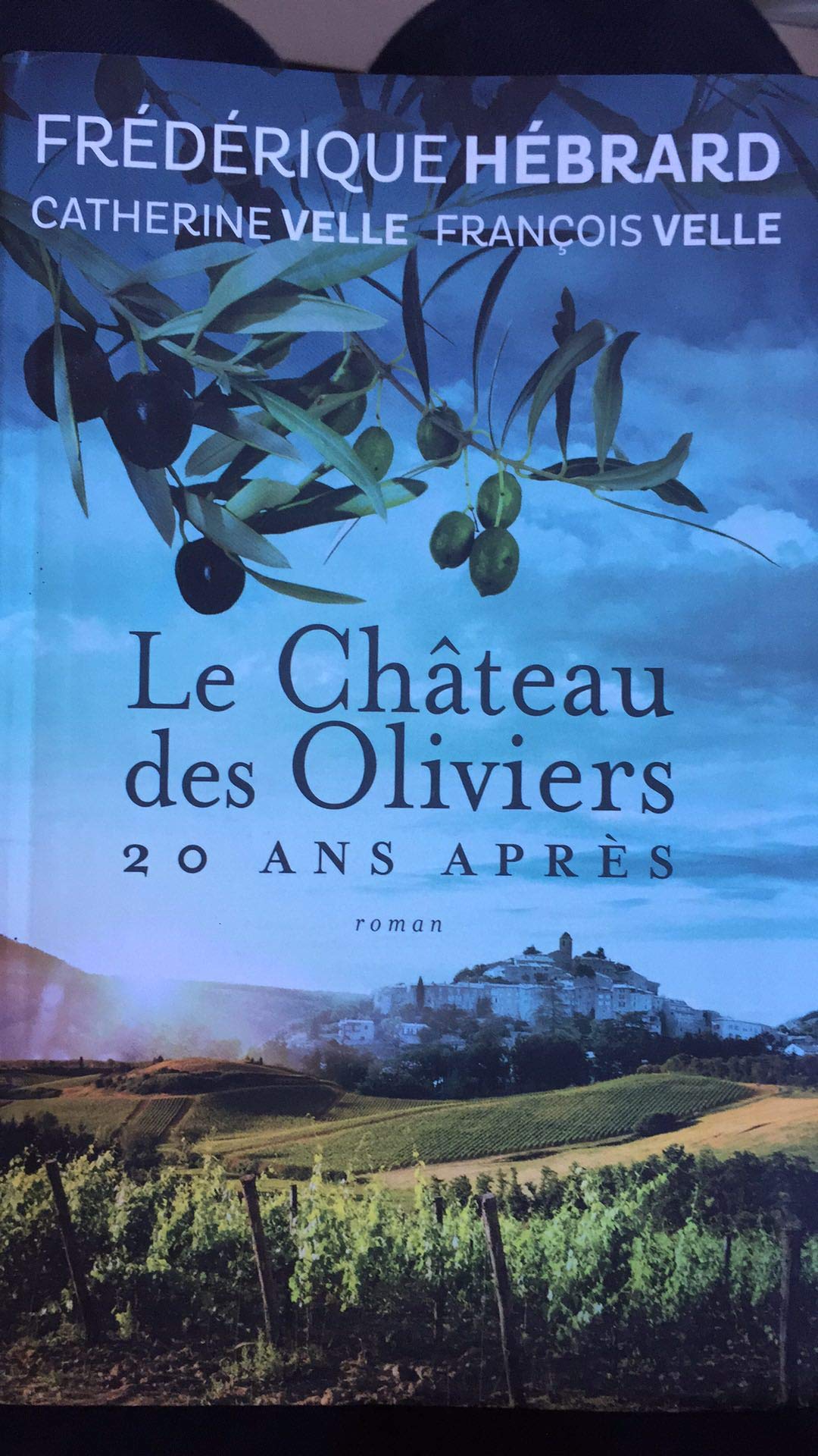 Le Château des Oliviers suivi de 20 ans après. La Belle romaine Books