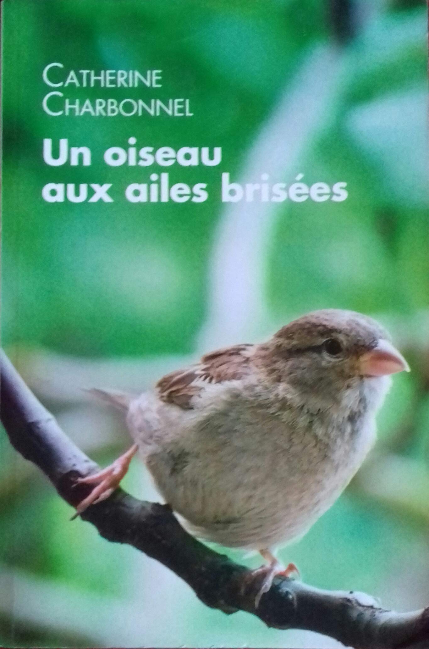 UN OISEAU AUX AILES BRISEES book
