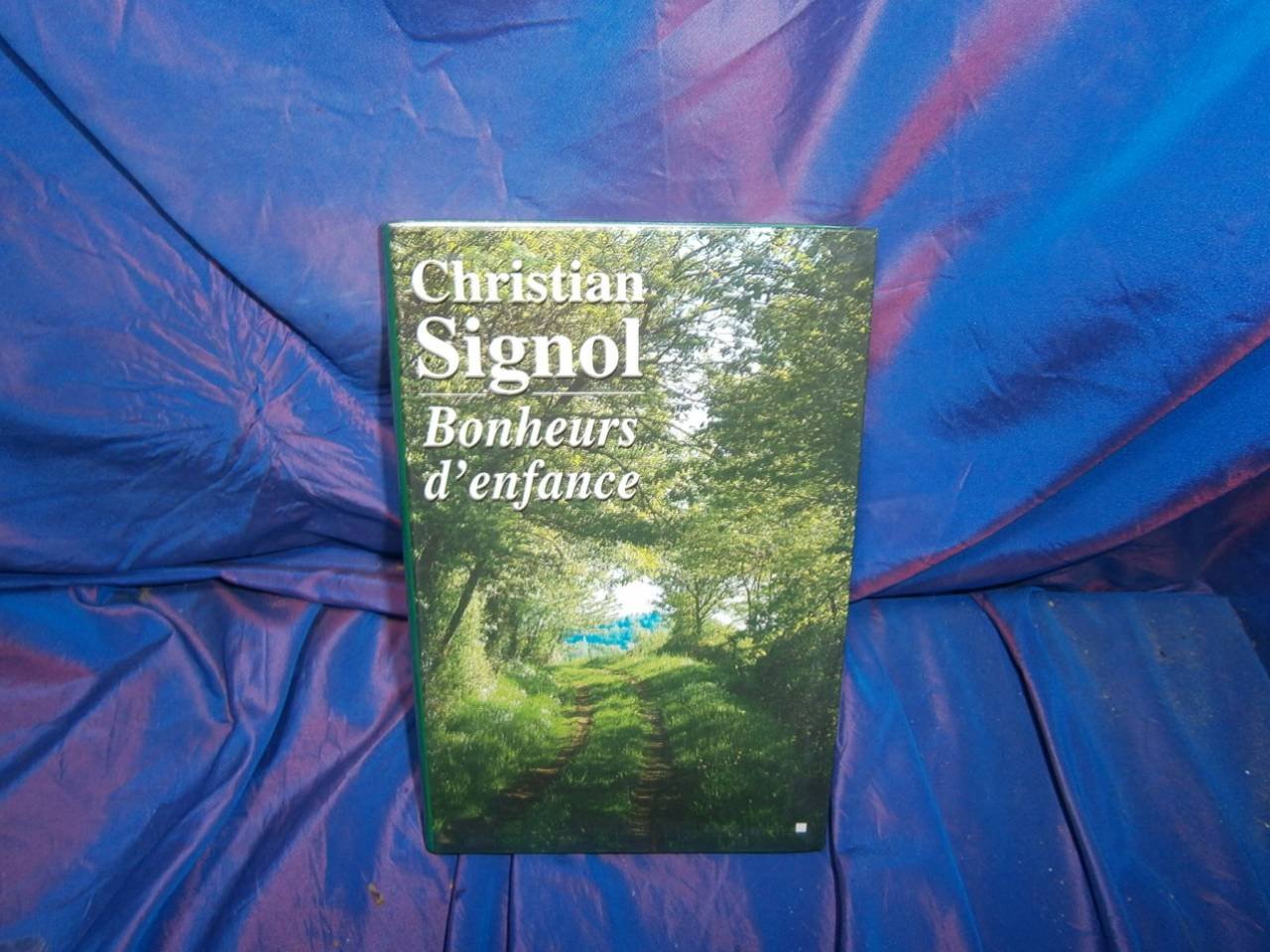 Bonheurs d'enfance. book