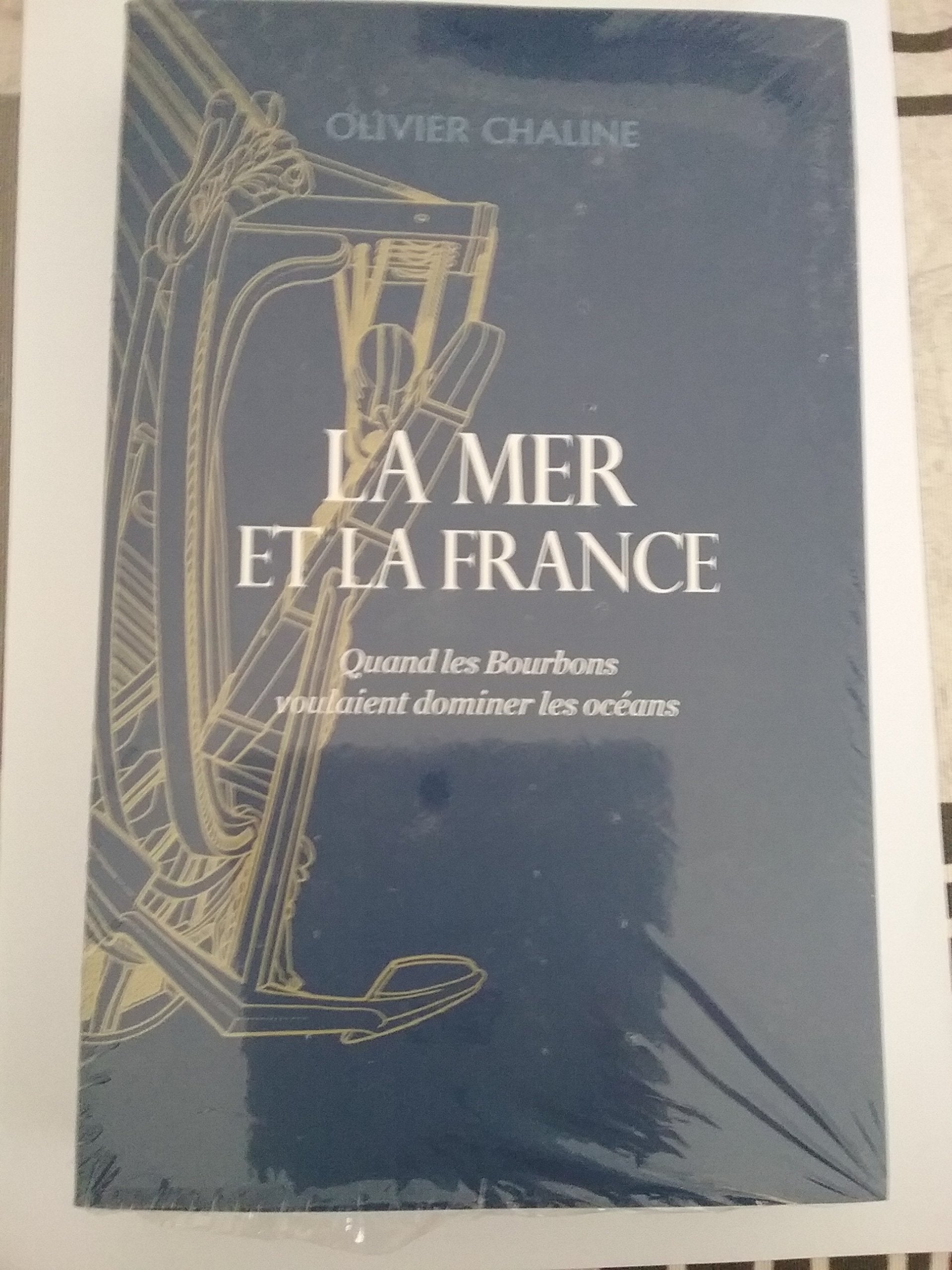 La mer et la france. Quand les bourbons voulaient dominer les océans Books