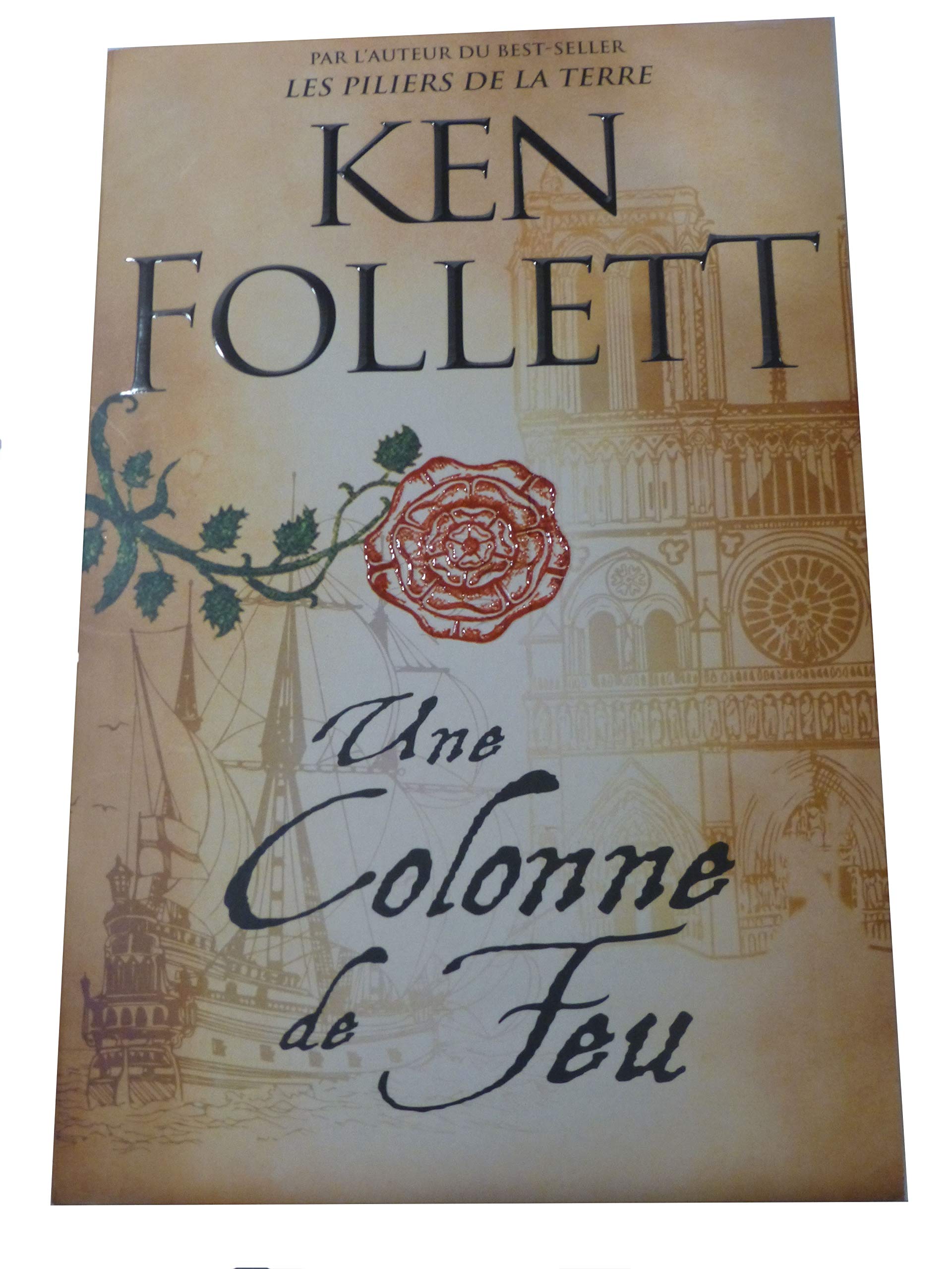 Les piliers de la terre tome 3 : une colonne de feu Books