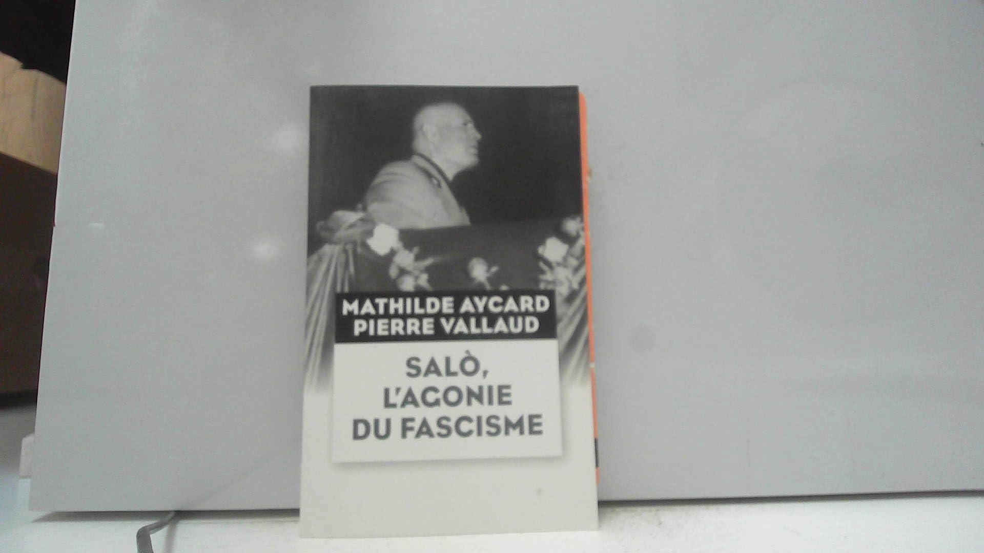 Salò, l'agonie du fascisme book