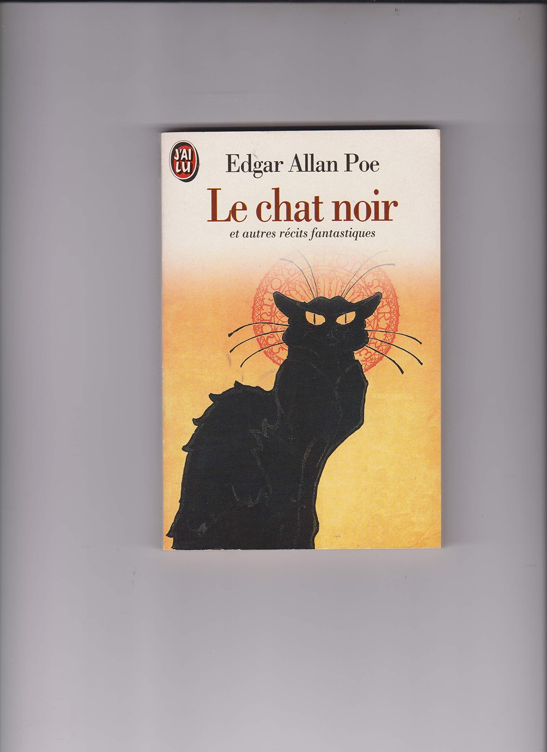 Le chat noir : et autres récits fantastiques book