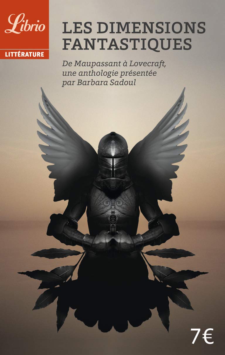 Les Dimensions fantastiques: Vingt-six nouvelles de Marie de France à Richard Matheson Contemporary literature