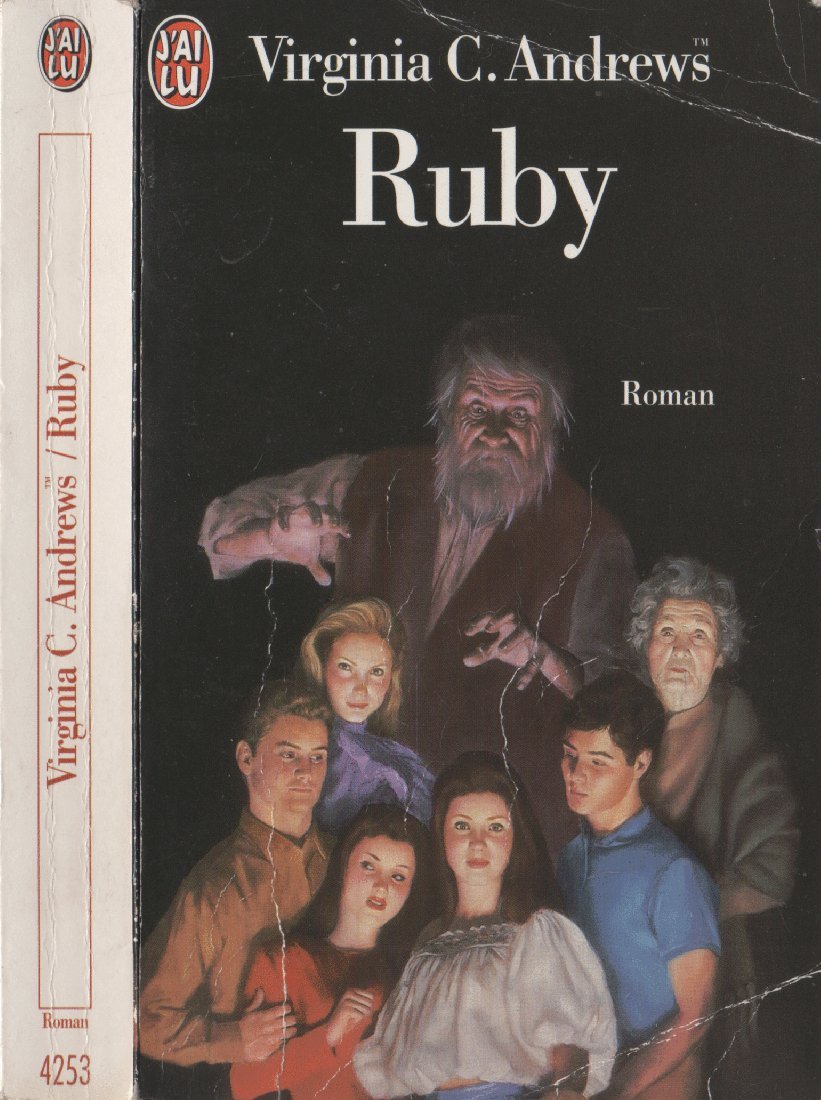 Ruby t1 - la famille landry Books