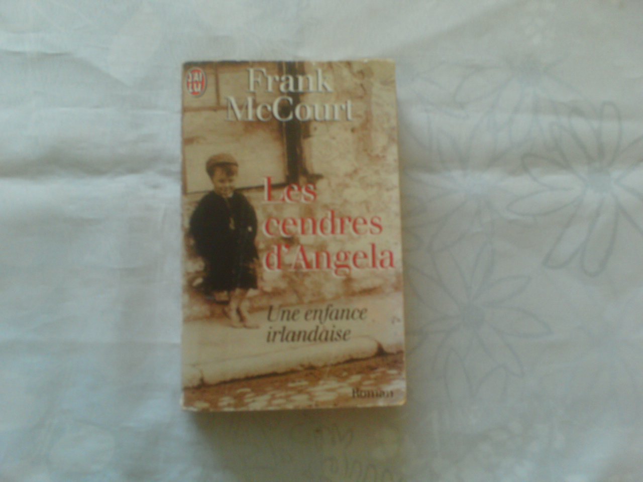 Les Cendres d'Angela: UNE ENFANCE IRLANDAISE Memories