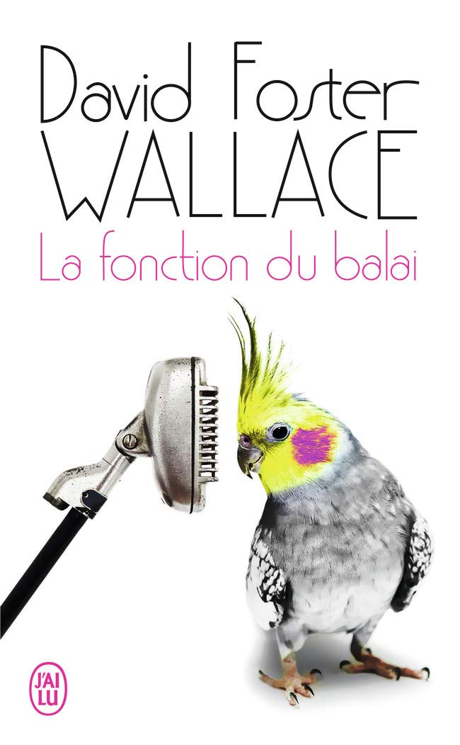 La fonction du balai Contemporary literature