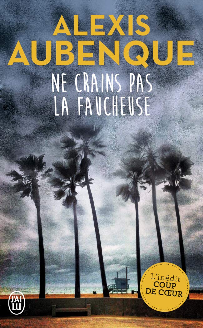 Ne crains pas la Faucheuse: Roman Contemporary literature