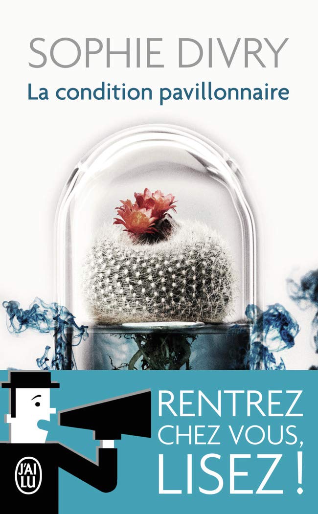 La condition pavillonnaire: Roman Contemporary literature